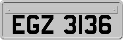 EGZ3136
