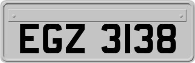 EGZ3138