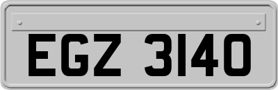 EGZ3140