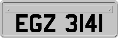 EGZ3141