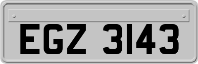 EGZ3143