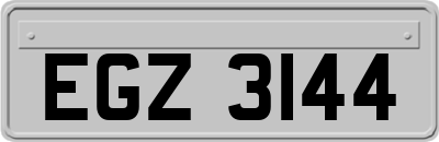 EGZ3144