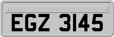 EGZ3145