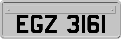 EGZ3161
