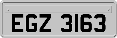 EGZ3163