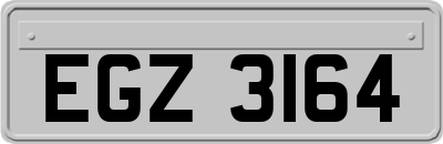 EGZ3164