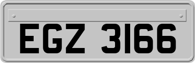 EGZ3166