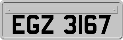 EGZ3167
