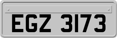 EGZ3173