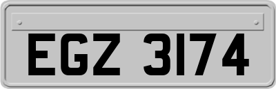 EGZ3174