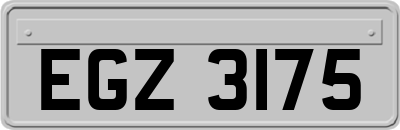 EGZ3175