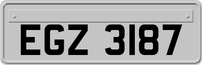 EGZ3187