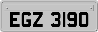 EGZ3190