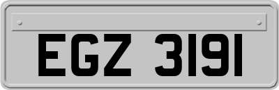 EGZ3191