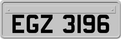 EGZ3196