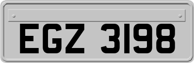 EGZ3198