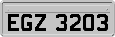 EGZ3203