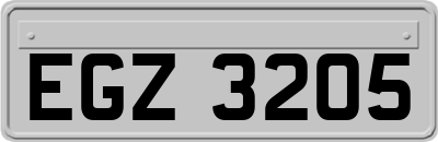EGZ3205