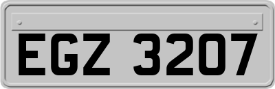 EGZ3207