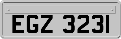 EGZ3231
