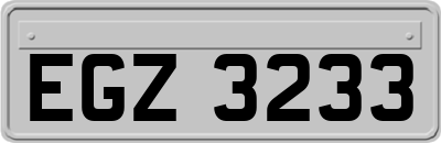 EGZ3233