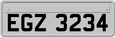 EGZ3234