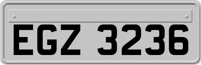 EGZ3236
