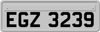 EGZ3239