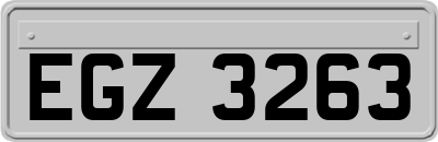 EGZ3263