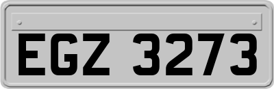 EGZ3273