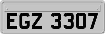 EGZ3307