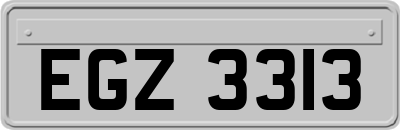 EGZ3313