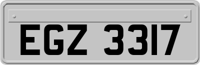 EGZ3317