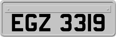 EGZ3319