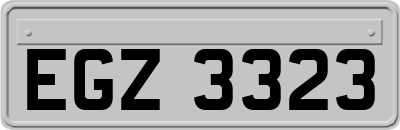 EGZ3323