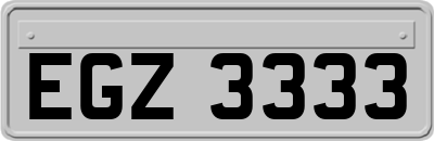 EGZ3333