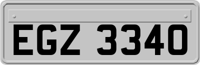 EGZ3340