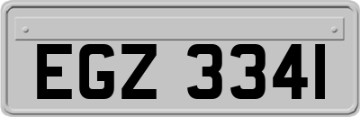 EGZ3341