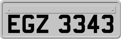 EGZ3343