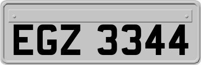EGZ3344