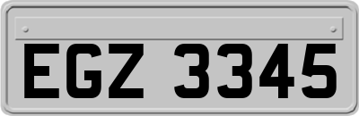 EGZ3345