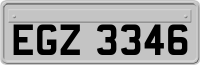 EGZ3346