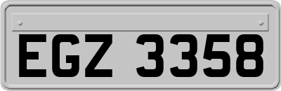 EGZ3358