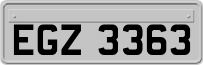EGZ3363