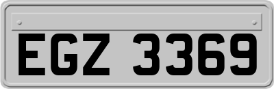 EGZ3369
