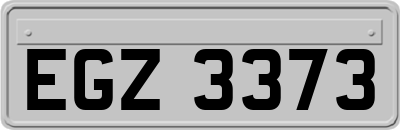 EGZ3373
