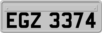 EGZ3374