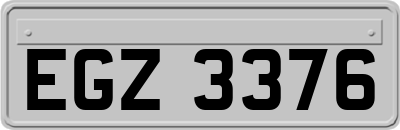 EGZ3376