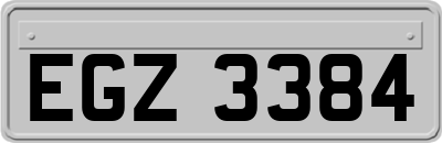 EGZ3384
