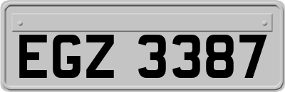 EGZ3387